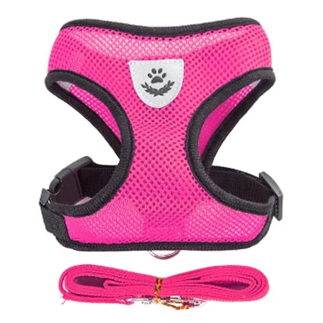 Cat Harness & Leash Set