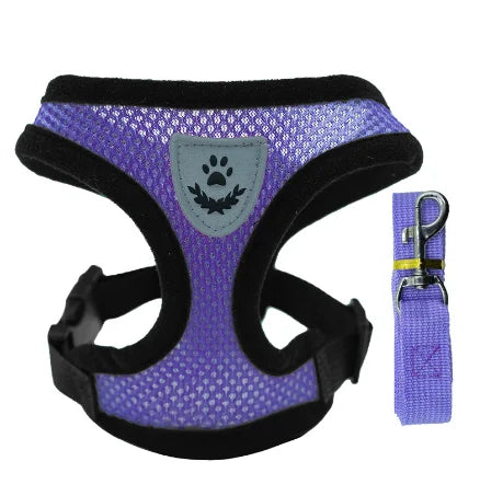 Cat Harness & Leash Set