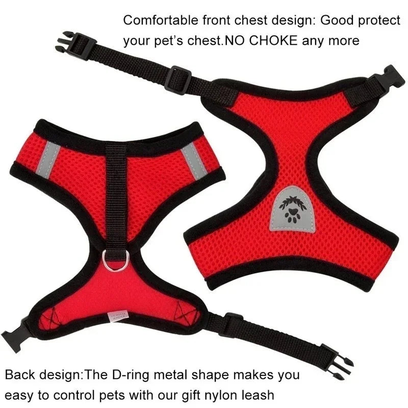 Cat Harness & Leash Set