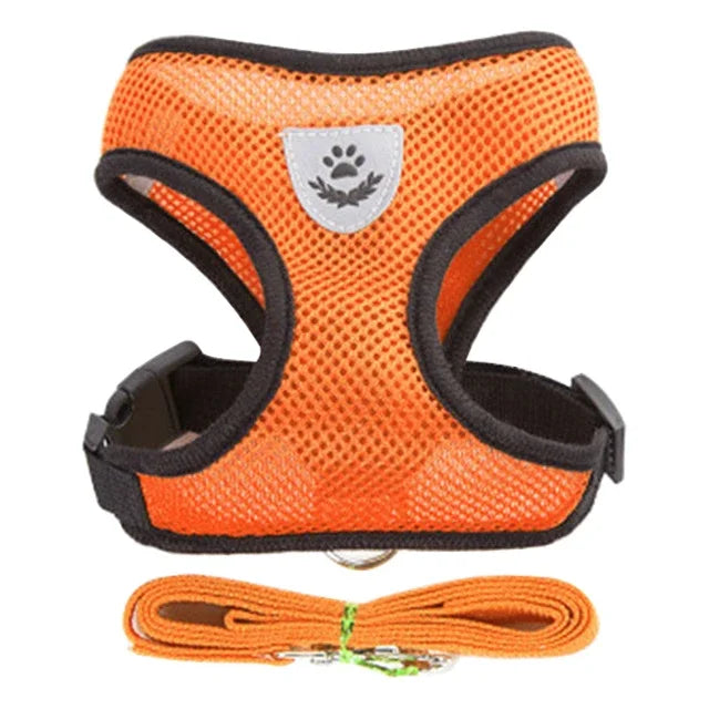 Cat Harness & Leash Set