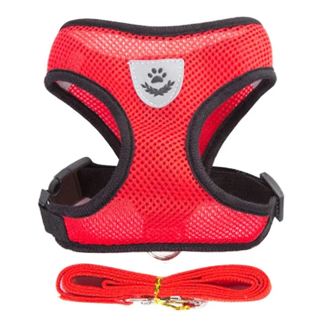 Cat Harness & Leash Set