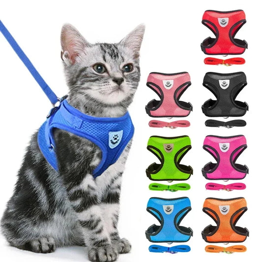 Cat Harness & Leash Set