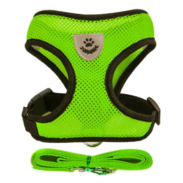 Cat Harness & Leash Set